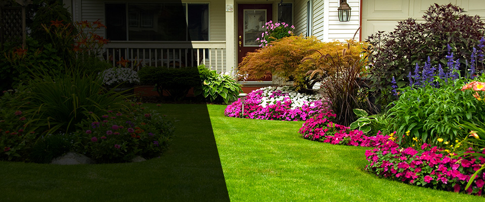 Waxhaw Landscapers
