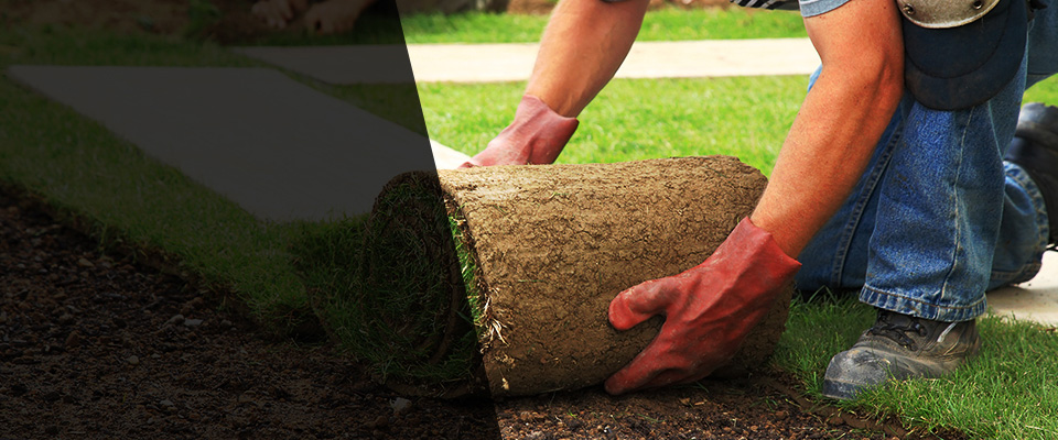 Waxhaw Landscapers